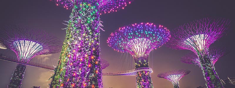 Top Reasons to Move to Singapore